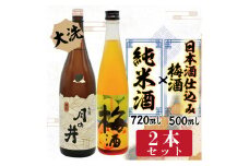 日本酒 純米酒 日本酒 仕込み 梅酒 2本 セット 月の井 大洗 地酒