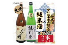日本酒 ガルパン 720ml 2本 セット 純米酒 月の井 コラボ 大洗 地酒 ガールズ＆パンツァー 桂利奈
