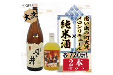 純米酒 720ml メロン リキュール ガルパン コラボ 720ml 2本 セット 大洗 地酒 日本酒 茨城 ガールズ ＆ パンツァー