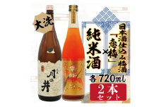 純米酒 日本酒 仕込み 梅酒 恋梅 720ml 2本 セット 月の井 大洗 地酒 国産梅 茨城