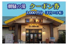 天然温泉 潮騒の湯 クーポン券 3000円分（1000円×3枚） 露店風呂 サウナ おんせん 大洗サンビーチ 海鮮 魚介 食事 宿泊 チケット 利用券 アウトドア 旅行