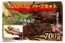 生冷凍 伊勢海老 ハーフカット 700g 冷凍 国産 伊勢エビ イセエビ いせえび 海老 エビ えび おせち 刺身 焼き物 味噌汁