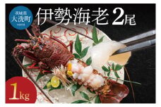 生冷凍 伊勢海老 2尾 1kg 冷凍 国産 伊勢エビ イセエビ いせえび 海老 エビ えび おせち 刺身 焼き物 味噌汁