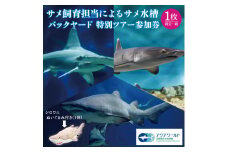 アクアワールド茨城県大洗水族館 サメ飼育員による サメ水槽 バックヤードツアー サメ給餌体験 サメタッチング サメについての講義 サメ卵殻 瓶詰め 標本 (１本) シロワニ ぬいぐるみ (1体) プレゼント アクアワールド 茨城県 大洗 水族館