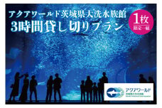アクアワールド 茨城県 大洗 水族館 貸し切り プラン (3時間) 挙式 プロポーズ ウェディングフォト ユニークベニュー 全館プラン