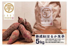 【先行予約】干し芋屋のさつまいも 熟成 紅はるか 生芋 5kg 無添加 無着色 茨城県産 サツマイモ 土付き 芋 さつまいも さつま芋 薩摩芋 紅遥 べにはるか