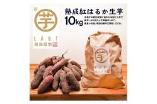 【先行予約】干し芋屋のさつまいも 熟成 紅はるか 生芋 10kg 無添加 無着色 茨城県産 サツマイモ 土付き 芋 さつまいも さつま芋 薩摩芋 紅遥 べにはるか