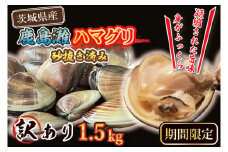 期間限定 鹿島灘 ハマグリ 訳あり 1.5kg 砂抜き済み はまぐり 蛤 わけあり 国産 天然 茨城県産 鹿島灘産 焼き蛤 BBQ おせち お雑煮 お吸い物 ラーメン パスタ