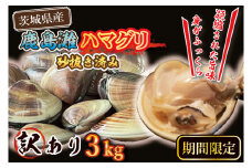 期間限定 鹿島灘 ハマグリ 訳あり 3kg 砂抜き済み はまぐり 蛤 わけあり 国産 天然 茨城県産 鹿島灘産 焼き蛤 BBQ おせち お雑煮 お吸い物 ラーメン パスタ