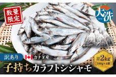 【数量限定！】 子持ち カラフトシシャモ ２kg (500g×4袋) 訳アリ シシャモ ししゃも カラフトししゃも 大洗 規格外 訳あり わけあり 傷