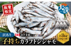 【数量限定！】 子持ち カラフトシシャモ 3kg (500ｇ×6袋) 訳アリ シシャモ ししゃも カラフトししゃも 大洗 規格外 訳あり わけあり 傷