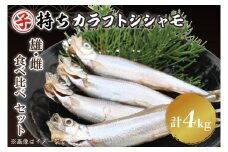 ししゃも雄雌食べ比べ ４ｋｇ セット 訳アリ シシャモ ししゃも カラフトししゃも 大洗 規格外 訳あり わけあり 傷
