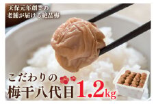 こだわりの梅干八代目 1.2kg 南高梅 無添加 減塩 昔ながら 老舗 伝統 国産 大洗 大洗町 梅干し 梅干 梅 うめぼし うめ