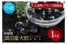 涸沼産 大粒 シジミ 1kg しじみ 蜆 大和しじみ ヤマトシジミ 大玉 冷蔵 味噌汁 スープ 魚貝類 貝 オルニチン コハク酸 魚介類