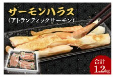 サーモン ハラス 1.2kg(200ｇ×6p) アトランティックサーモン 鮭 鮭はらす 大洗町 大洗 魚 さかな 魚介類 冷凍 工場直送 おかず おつまみ