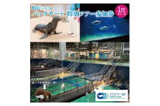 ふるさと納税限定 アクアワールド茨城県大洗水族館 館長による 特別 バックヤードツアー カナダカワウソ ぬいぐるみ 付き (1体) 茨城県 大洗 水族館 旅行