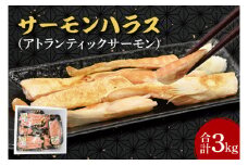 サーモン ハラス 3kg (200ｇ×15p) アトランティックサーモン 鮭 鮭はらす 干物 ひもの 大洗町 焼魚 焼き魚 魚 魚介 海鮮 海産物 冷凍 工場直送 おかず おつまみ