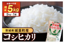 精米 5kg コシヒカリ 令和6年産 こしひかり 精白米 お米 米 ご飯【配送不可地域：離島】 (AX012)