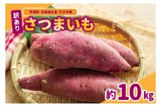 訳ありさつまいも　10kg 県共通返礼品　行方市産 (BR148)