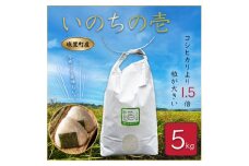 茨城県城里町産 いのちの壱 5kg (2024年産) (AL001)