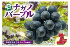 ナガノパープル1房　県内共通返礼品:かすみがうら市産 (BR154)