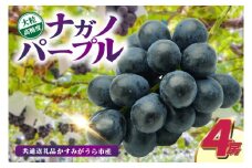 ナガノパープル4房　県内共通返礼品:かすみがうら市産 (BR156)