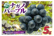 ナガノパープル5kg　県内共通返礼品:かすみがうら市産 (BR157)