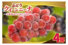 クインニーナ4房　県内共通返礼品:かすみがうら市産 (BR160)