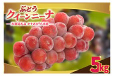 クインニーナ5kg　県内共通返礼品:かすみがうら市産 (BR161)