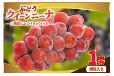 クインニーナ桐箱入り1房　県内共通返礼品:かすみがうら市産 (BR162)