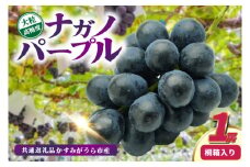 ナガノパープル桐箱入り1房　県内共通返礼品:かすみがうら市産 (BR163)