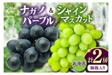 お中元桐箱入りナガノパープル1房・シャインマスカット1房　県内共通返礼品:かすみがうら市産 (BR171)