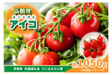 高糖度ミニトマト　アイコ　約150g×7pc　県内共通返礼品つくばみらい市産 (BR173)