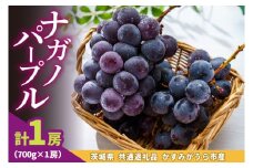 ナガノパープル700g×1房　県内共通返礼品かすみがうら市産 (BR179)