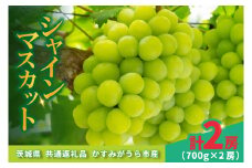 シャインマスカット700g×2房 (BR180)