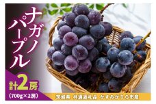ナガノパープル700g×2房　県内共通返礼品かすみがうら市産 (BR182)