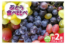 旬なぶどう食べ比べ700g×2房　県内共通返礼品かすみがうら市産 (BR183)