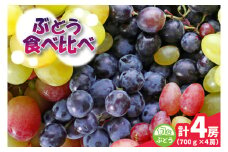 旬なぶどう食べ比べ700g×3房　県内共通返礼品かすみがうら市産 (BR184)