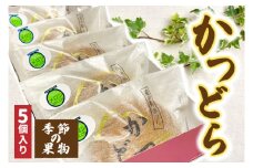 かつどら５個入り【季節の果物】 (AF032)