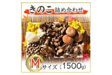 きのこの詰め合わせ　Mサイズ(1.500g) (AU001)