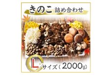 きのこの詰め合わせ　Lサイズ(2.000g) (AU002)