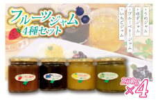 いちご・ゆず・梅・ブルーベリージャム(250g)×各1個 (AF004)