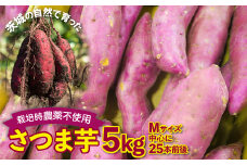 さつまいも　紅はるか　栽培期間中農薬不使用栽培　5kg (BJ006)