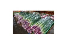 赤ねぎ　約5kg (AF005)