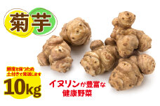 菊芋　健康野菜10kg (BJ007)