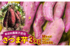 ＼先行予約／ さつまいも 紅はるか 栽培期間中農薬不使用栽培 3kg (BJ008)