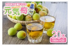 はちみつ&梅ドリンク「元気梅」＜180ml×20本＞ (AF006)