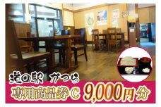 道の駅かつら専用商品券C　9000円分(500円券×18枚セット) (AF009)