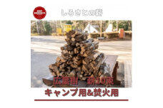 薪10束キャンプ用&焚火用(広葉樹10束)＜城里町ふれあいの里現地受取限定品＞ (BF022)