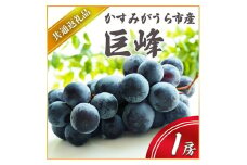 ＜2025年7月より順次発送予定＞巨峰　1房(県内共通返礼品:かすみがうら市産) (BR040)